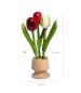 Preview: Set of 3, 3 wooden tulips in a wooden jug red and white, each 15.5 cm high hand-painted, table decoration, wooden flowers, Made in Holland